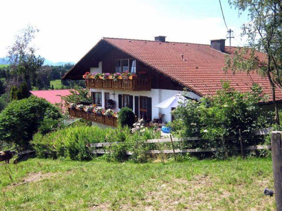 Haus Bergblick Apartment Oy-Mittelberg Exterior photo